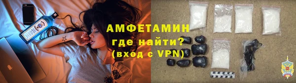 сатива Няндома