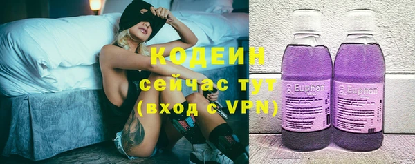 прущие грибы Семилуки