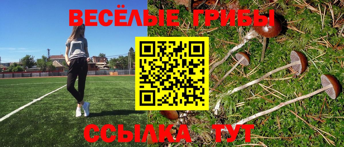 Галлюциногенные грибы MAGIC MUSHROOMS Усть-Кут