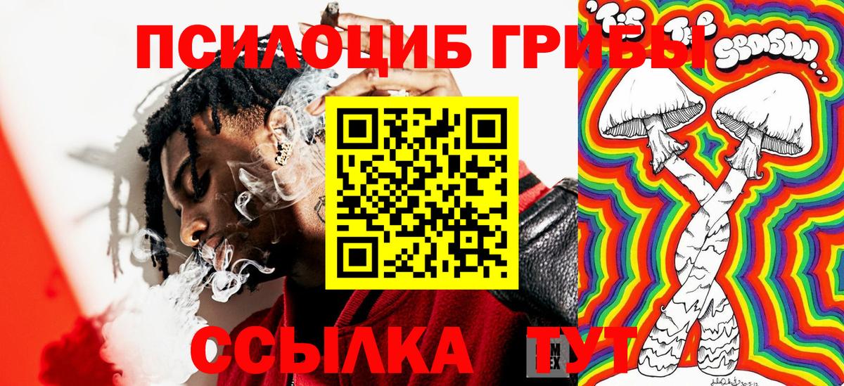 Галлюциногенные грибы ЛСД  Усть-Кут  Галлюциногенные грибы MAGIC MUSHROOMS 